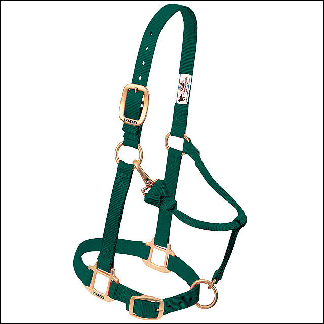 Hunter Green Western Tack Adjustable Horse Halter 1" Average